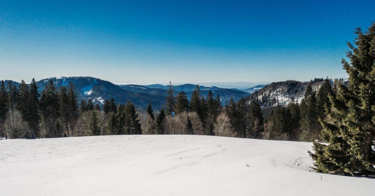Berggasthof zur Todtnauer Hütte Feldberg  Exterior foto